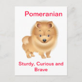 Spitz Postkarte (Vorderseite)