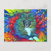 Spitz-Postkarte Postkarte (Vorderseite)