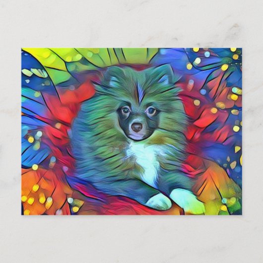 Spitz-Postkarte Postkarte (Vorderseite)