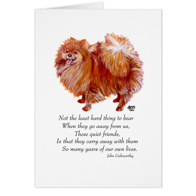 Spitz Rainbow Bridge (Vorne)