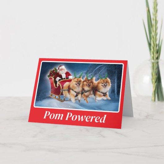 Spitz Reindeer Karte (Vorderseite)