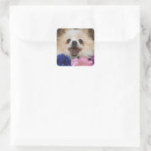 Spitz Rescue Hund Aufkleber (Tasche)