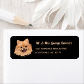 Spitz-Rücksendeadresse (Insitu)