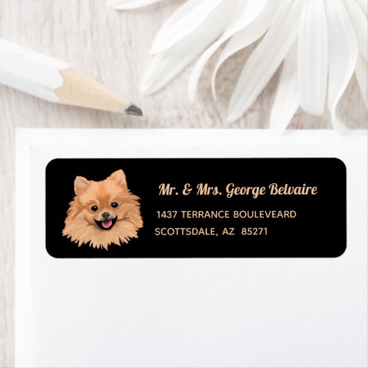 Spitz-Rücksendeadresse (Insitu)