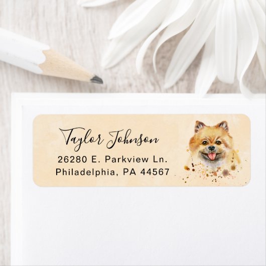 Spitz-Rücksendeadresse (Insitu)