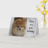 SPITZ SAGT NICHT **50** JEDES JAHR KARTE (Gelbe Blume)