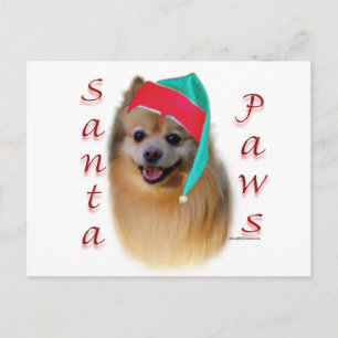 Spitz Santa Paws Feiertagspostkarte