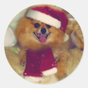 Spitz Santa Xmas Aufkleber
