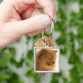 Spitz Schlüsselanhänger (Hand)