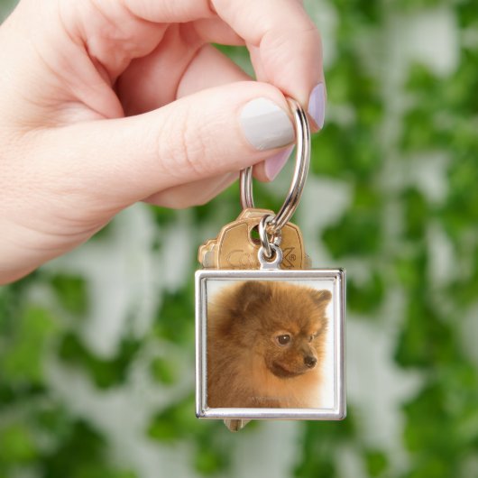 Spitz Schlüsselanhänger (Hand)