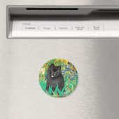 Spitz (schwarz) - Ire Magnet (In Situ (Geschirrspüler))
