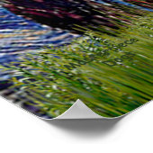 Spitz (schwarz) - Starry Night Poster (Ecke)