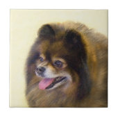 Spitz-Schwarzes und TAN, die ursprüngliche Fliese (Vorderseite)