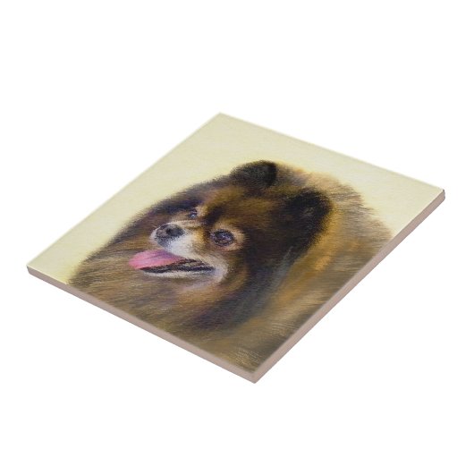 Spitz-Schwarzes und TAN, die ursprüngliche Fliese (Seite)