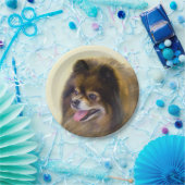 Spitz-Schwarzes und TAN, die ursprüngliche Pappteller (Party)