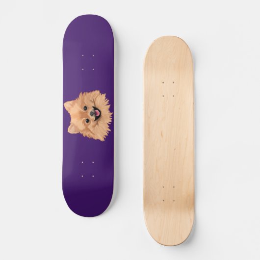 Spitz Skateboard (Vorderseite)