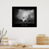 Spitz Snooze im Stil der Kunstgalerie Poster (Küche)