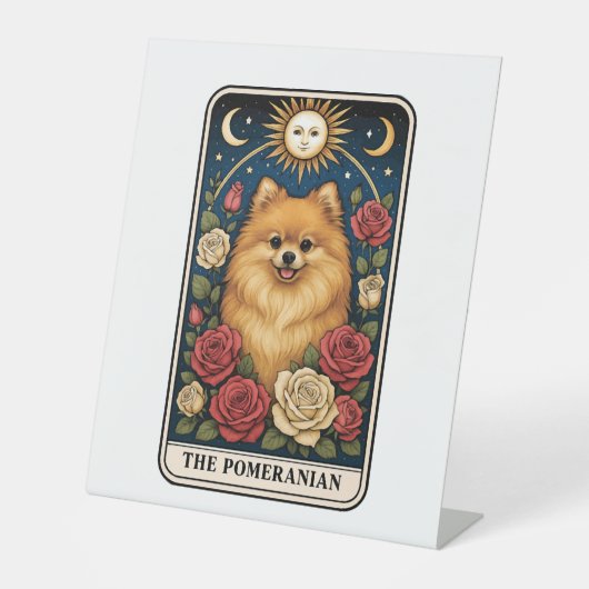 Spitz Sockelschild (Vorderseite)