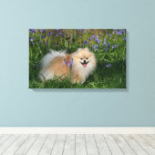 Spitz Stehend Blick auf Kamera Leinwanddruck (Insitu (Holzboden))