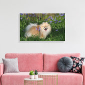 Spitz Stehend Blick auf Kamera Leinwanddruck (Insitu (Wohnzimmer))