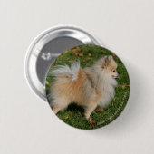 Spitz stehend button (Vorne & Hinten)