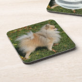 Spitz stehend getränkeuntersetzer (Linke Seite)