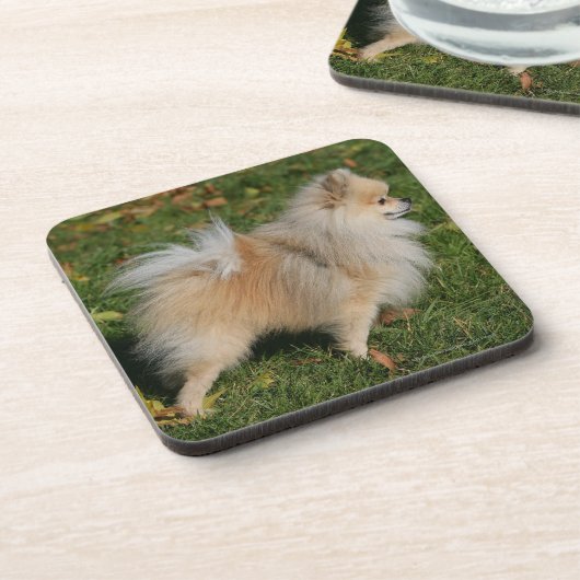 Spitz stehend getränkeuntersetzer (Linke Seite)