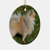 Spitz stehend keramikornament (Rechts)