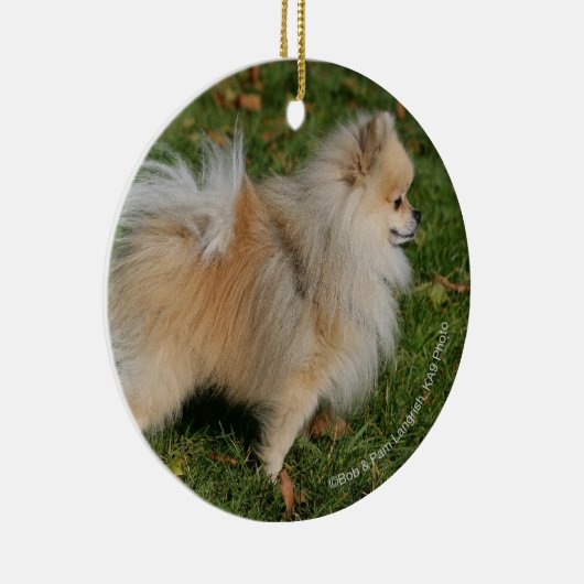 Spitz stehend keramikornament (Rechts)