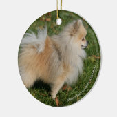 Spitz stehend keramikornament (Links)