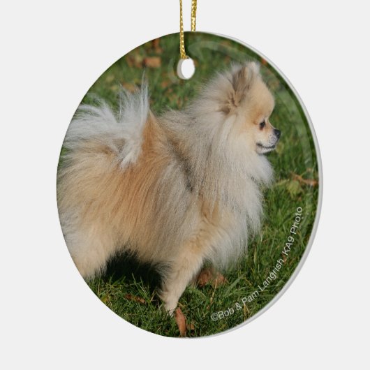 Spitz stehend keramikornament (Links)