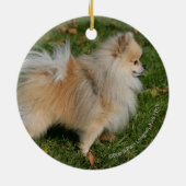 Spitz stehend keramikornament (Hinten)