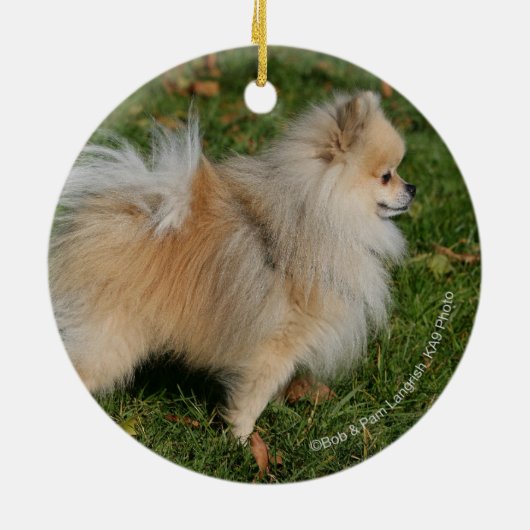 Spitz stehend keramikornament (Hinten)