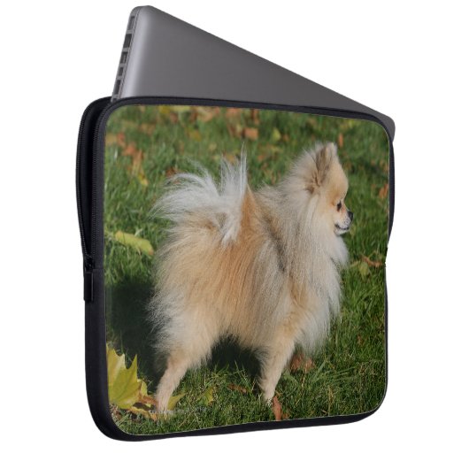 Spitz stehend laptopschutzhülle (Vorne Rechts)