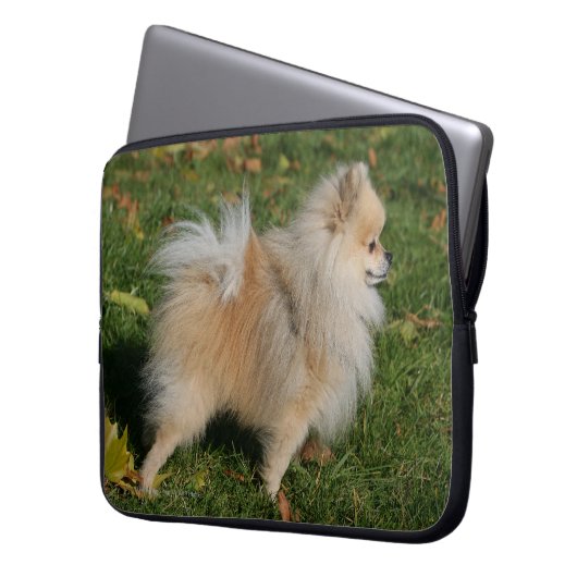 Spitz stehend laptopschutzhülle (Vorderseite Links)