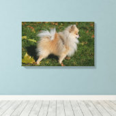 Spitz Stehend Leinwanddruck (Insitu (Holzboden))