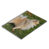 Spitz stehend notizblock (Linke Seite)