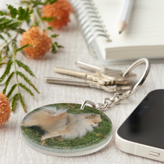 Spitz stehend schlüsselanhänger (Vorderseite rechts)