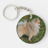 Spitz stehend schlüsselanhänger (Vorderseite)