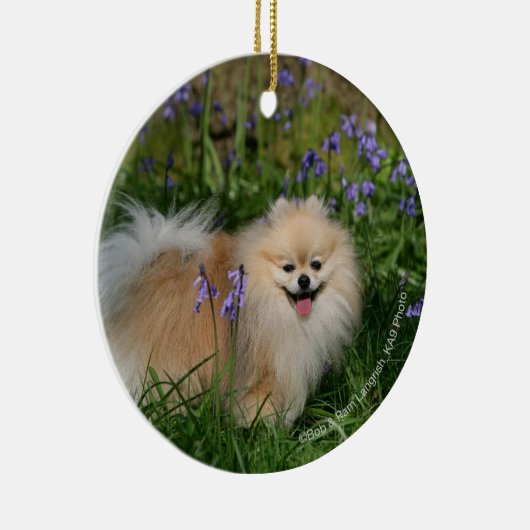 Spitz-stehende schauende Kamera Keramikornament (Rechts)