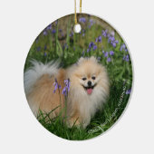 Spitz-stehende schauende Kamera Keramikornament (Links)