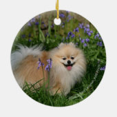 Spitz-stehende schauende Kamera Keramikornament (Hinten)