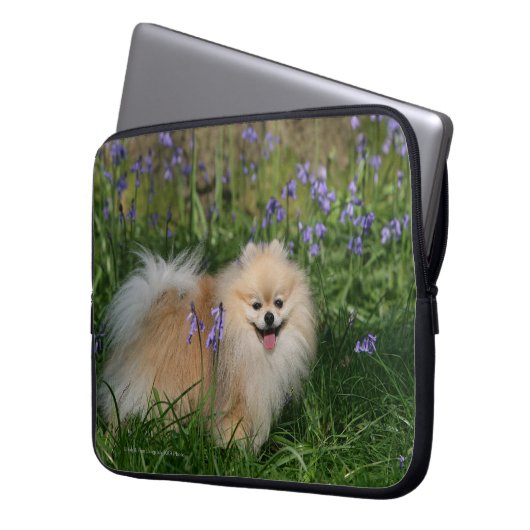 Spitz-stehende schauende Kamera Laptopschutzhülle (Vorderseite Links)