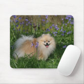 Spitz-stehende schauende Kamera Mousepad (Mit Mouse)