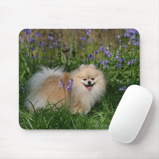 Spitz-stehende schauende Kamera Mousepad (Mit Mouse)