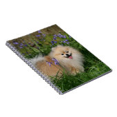 Spitz-stehende schauende Kamera Notizblock (Rechte Seite)