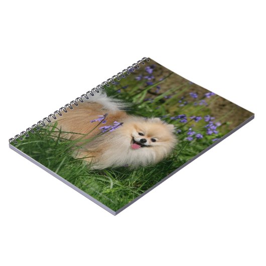 Spitz-stehende schauende Kamera Notizblock (Linke Seite)