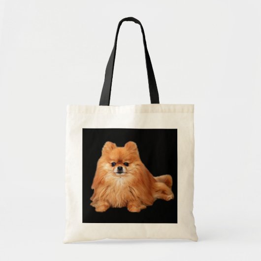 Spitz-Taschen-Tasche Tragetasche (Vorne)