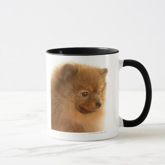 Spitz Tasse (Rechts)