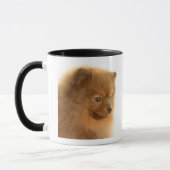 Spitz Tasse (Links)